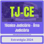Técnico Judiciário – Área Judiciária